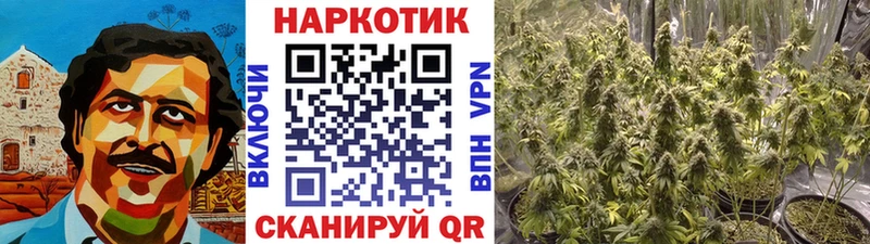 Купить наркотики Киренск COCAIN Гашиш Бошки Шишки