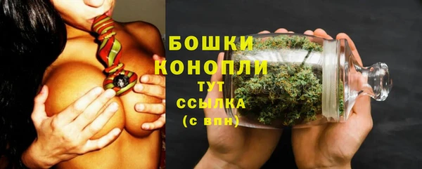 ECSTASY Новозыбков