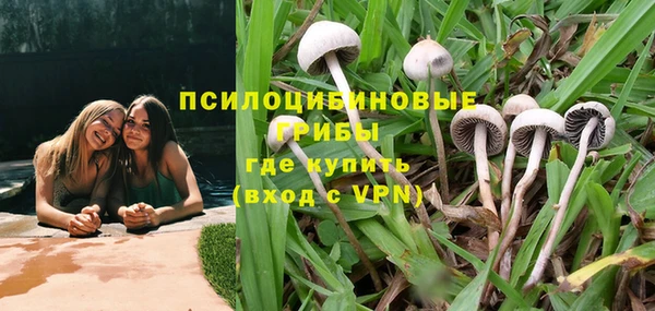 ECSTASY Новозыбков