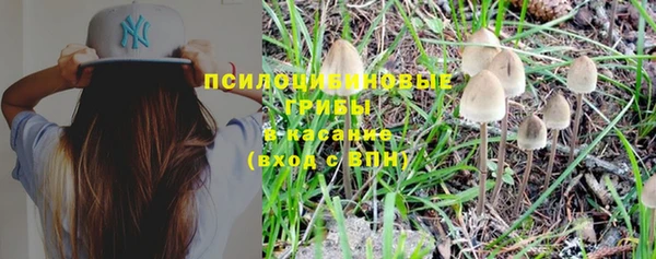 первитин Новокубанск