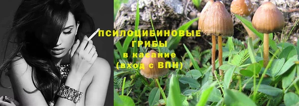 прущие крисы Новодвинск
